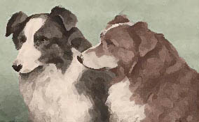 The Shepherd's Dogge