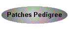 Patches Pedigree