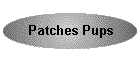 Patches Pups