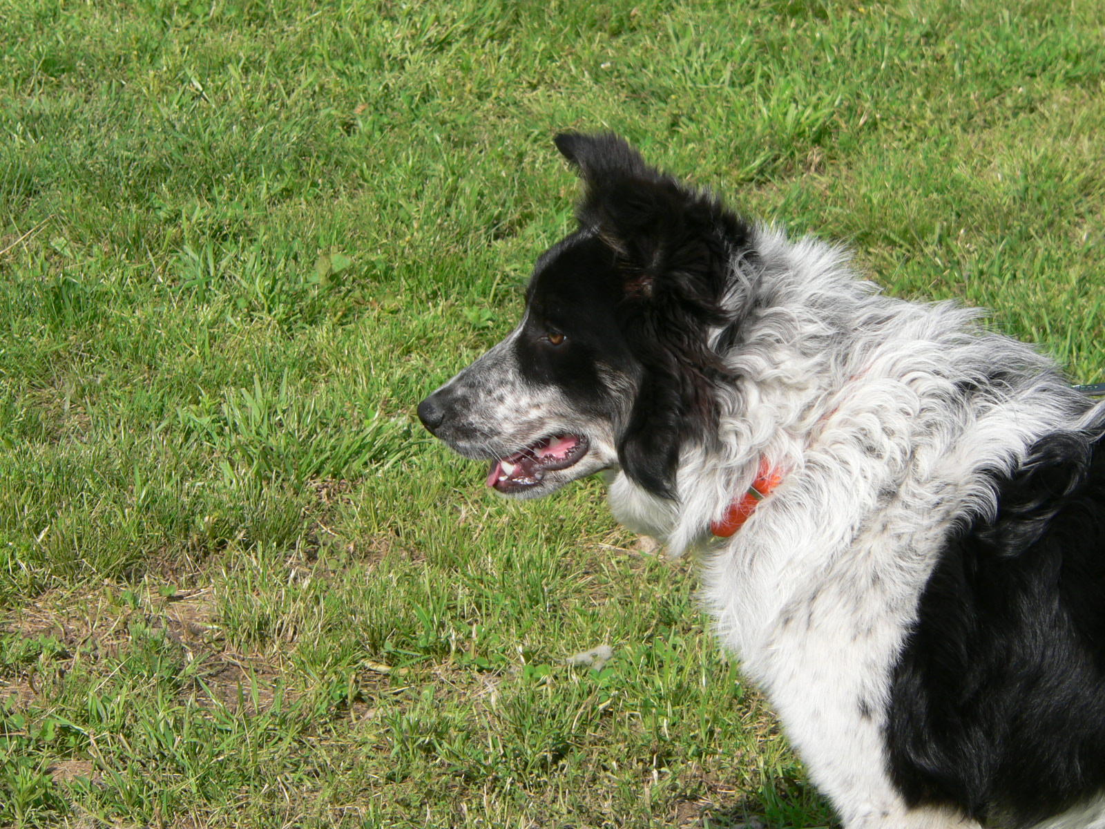 Sam